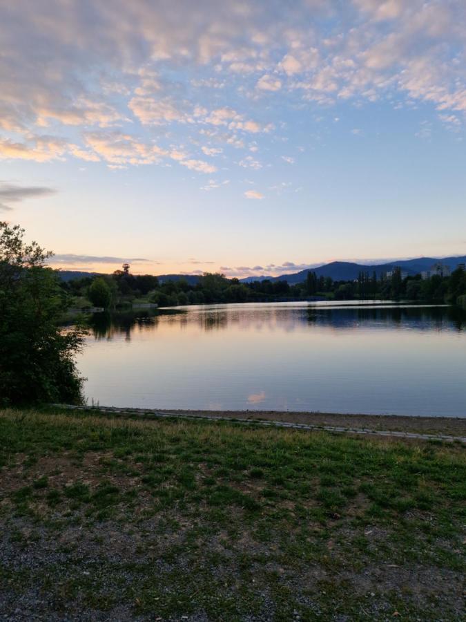 Ferienwohnung Naturini Friburgo em Brisgóvia Exterior foto